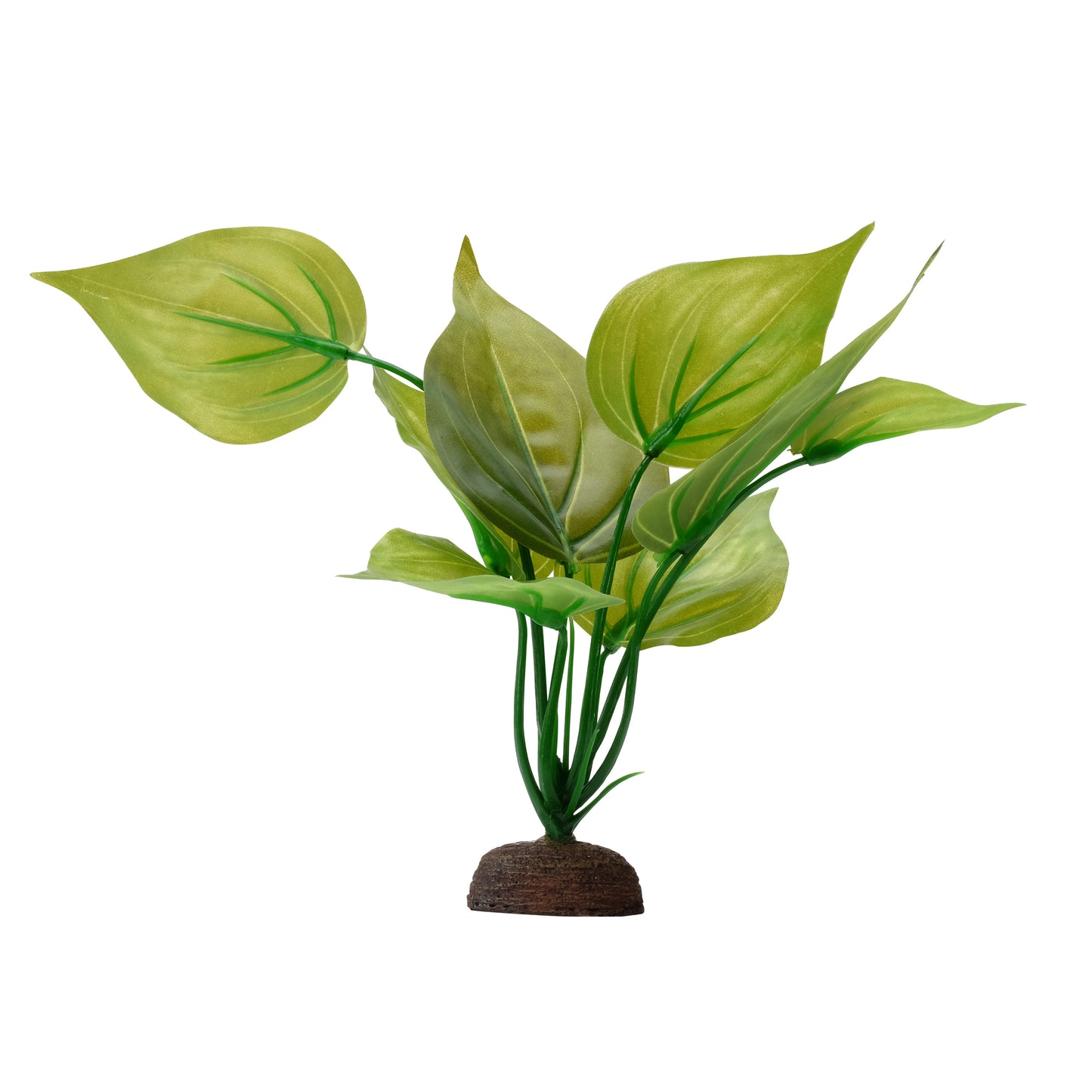 Saurure penché Plant Scapes Aqualife Fluval, 20 cm (8 po)