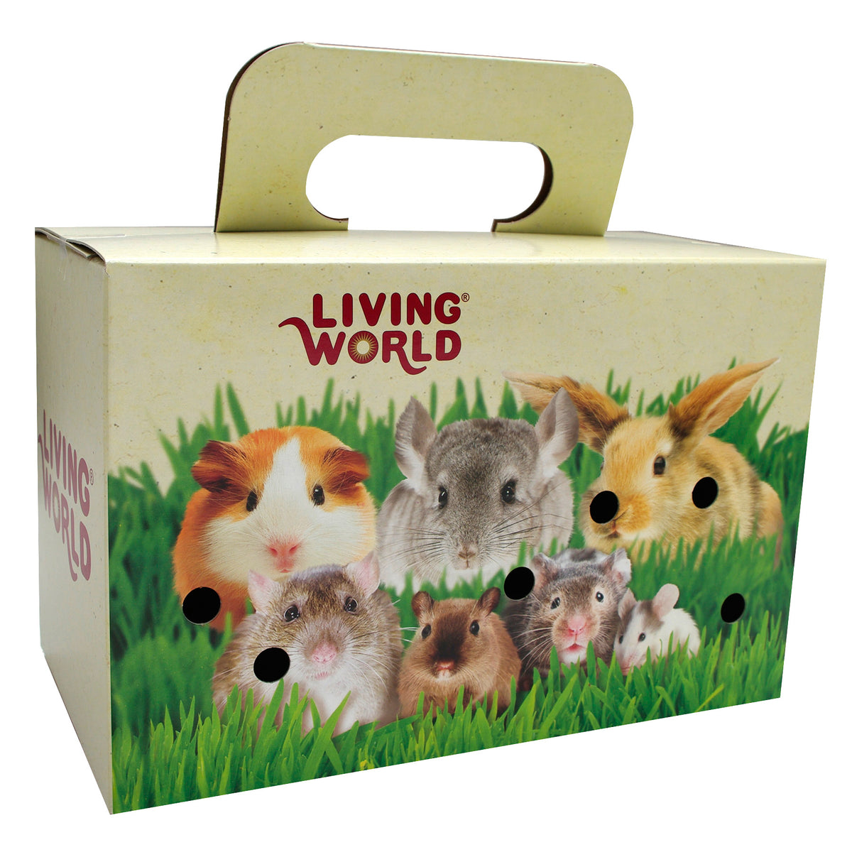 Boîte de transport Living World en carton, grande, 28x15x18cm (11x6x7po)