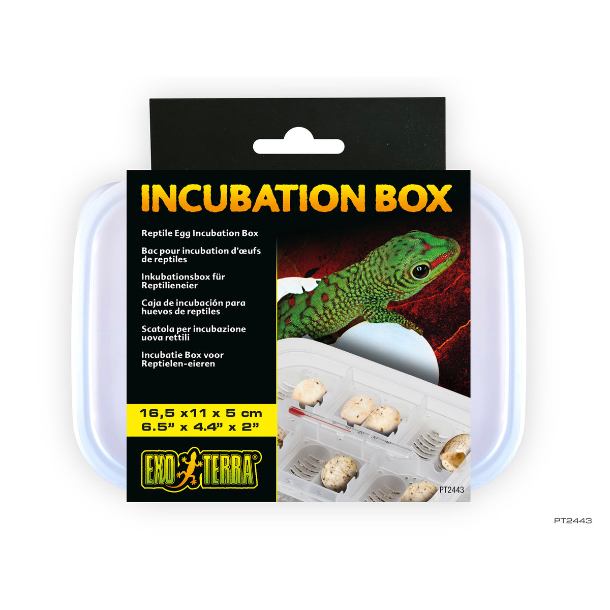 Bac Exo Terra pour incubation