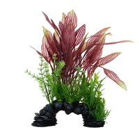 Plante de dentelle rouge Deco Scapes Aqualife Fluval