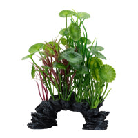 Lysimaque verte Deco Scapes Aqualife Fluval