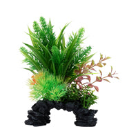 Ludwigia et sagittaire Deco Scapes Aqualife Fluval