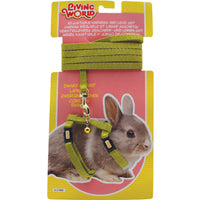 Ensemble laisse et harnais réglable Living World pour lapin nain, vert, laisse de 1,2 m (4 pi)