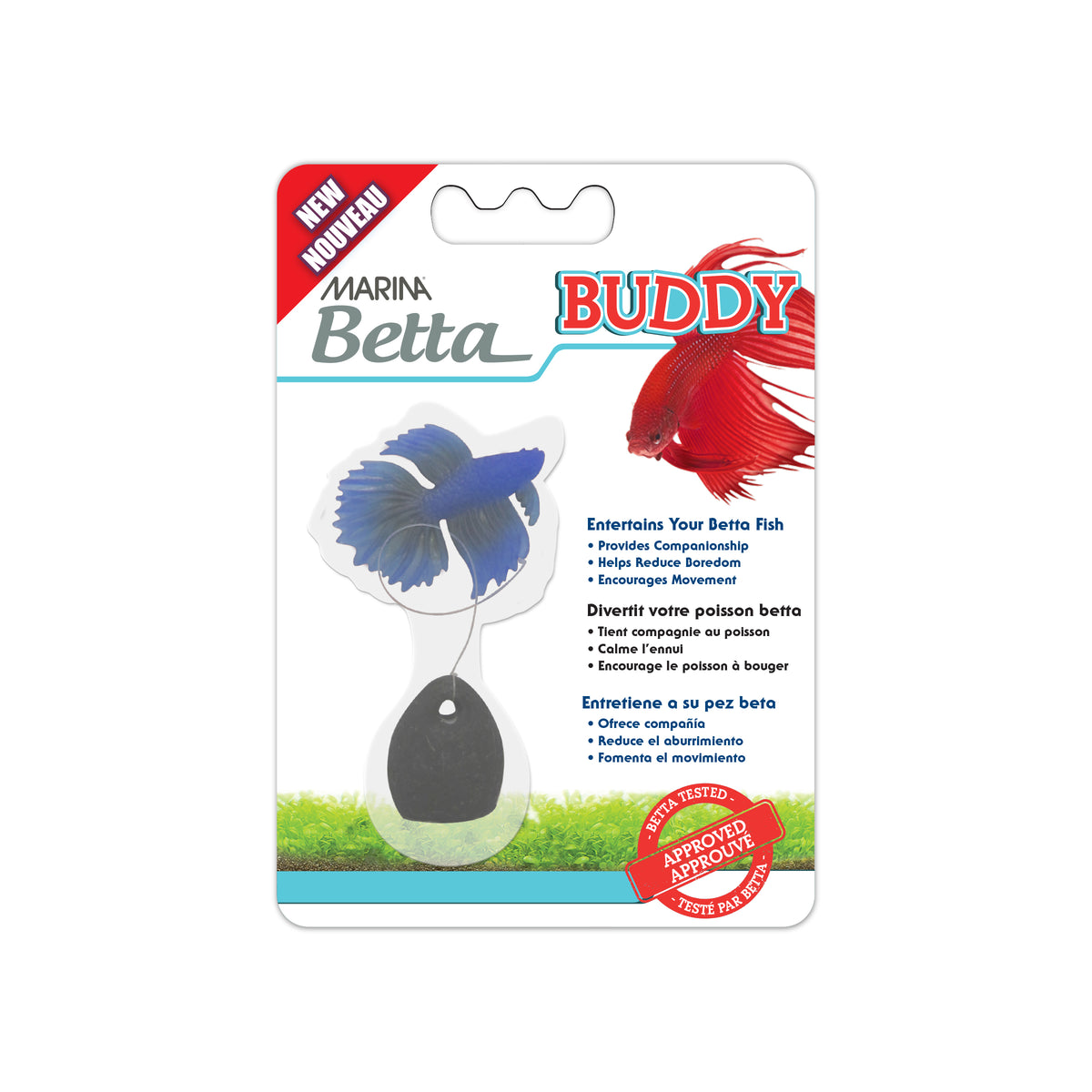 Entraîneur Buddy Marina Betta, bleu