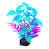 Plante iGlo Marina, 19 cm (7,5 po)