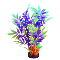 Plante iGlo Marina, 19 cm (7,5 po)