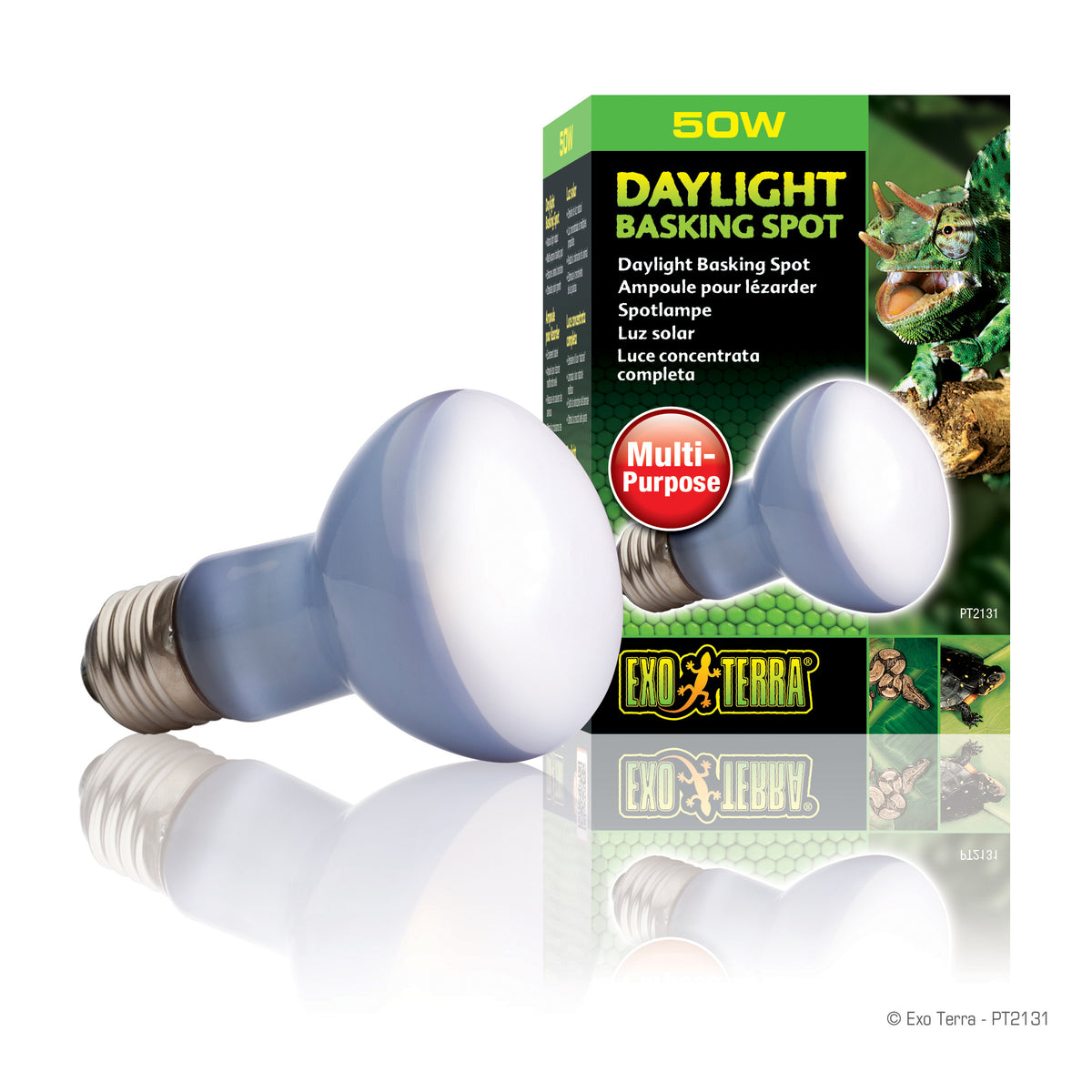 Ampoule à lumière du jour Exo Terra pour lézarder, R20, 50 W