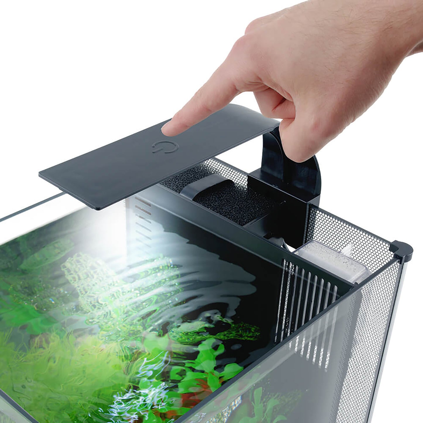 Aquarium équipé haut de gamme pour bettas, 22,7 L (6 gal US)