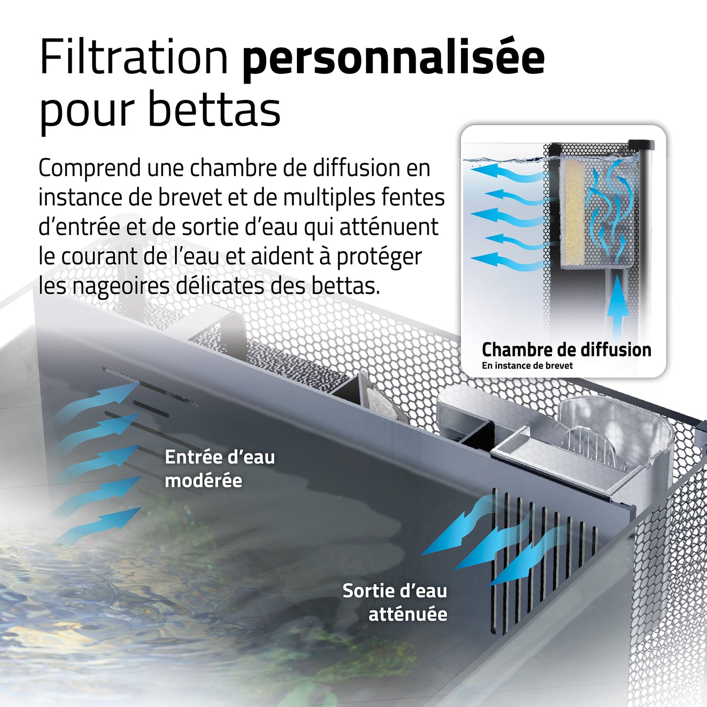 Aquarium équipé haut de gamme pour bettas, 22,7 L (6 gal US)