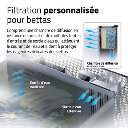 Aquarium équipé haut de gamme pour bettas, 22,7 L (6 gal US)