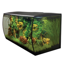 Aquarium Flex Fluval, noir, 123 L (32,5 gal US)