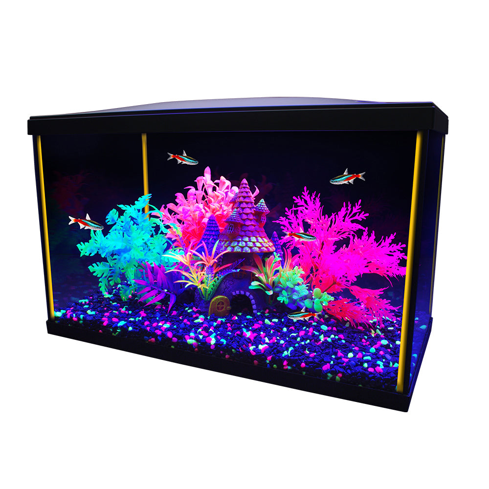 Aquarium équipé 5G iGlo Marina, 19 L (5 gal US)