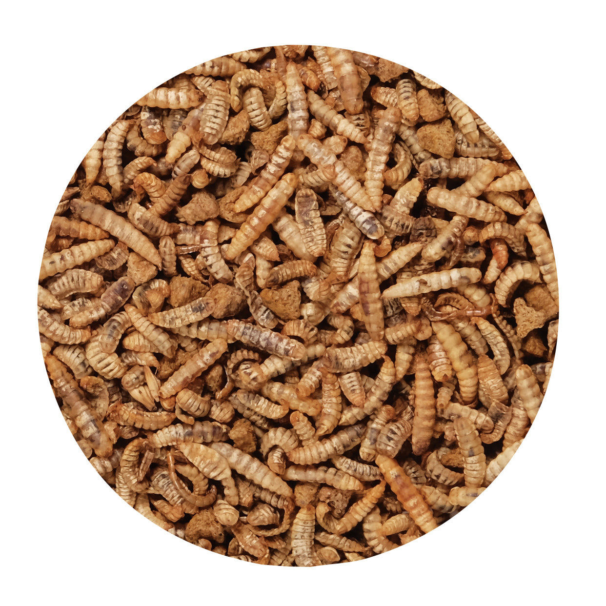 Complément alimentaire Gourmet Toppers Living World Green, Insectes, 125 g (4,4 oz)