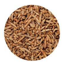 Complément alimentaire Gourmet Toppers Living World Green, Insectes, 125 g (4,4 oz)