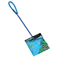 Épuisette Marina pour poissons, bleue, 7,5 cm (3 po)