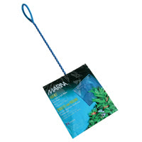 Épuisette Marina pour poissons, bleue, 15 cm (6 po)