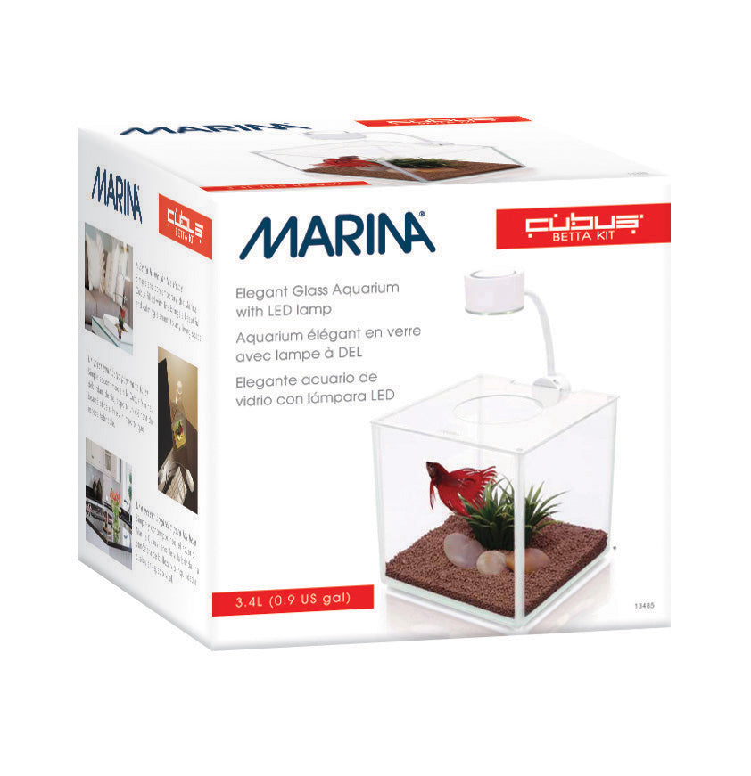 Aquarium équipé Cubus Marina pour betta, 3,4 L (0,9 gal US), 15 x 15 x 15 cm (6 x 6 x 6 po)