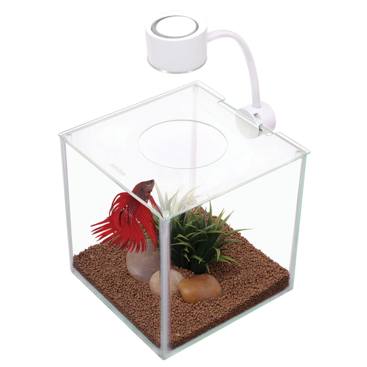 Aquarium équipé Cubus Marina pour betta, 3,4 L (0,9 gal US), 15 x 15 x 15 cm (6 x 6 x 6 po)