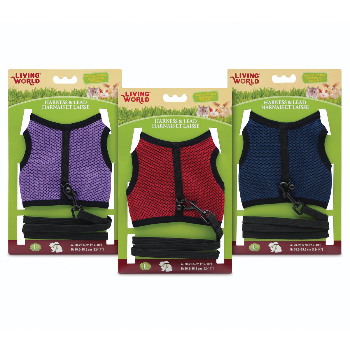 Ensemble laisse et harnais Living World, assortiment de couleurs, grand