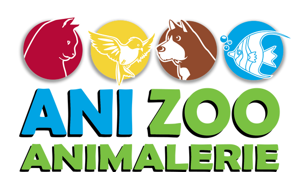 Anizoo