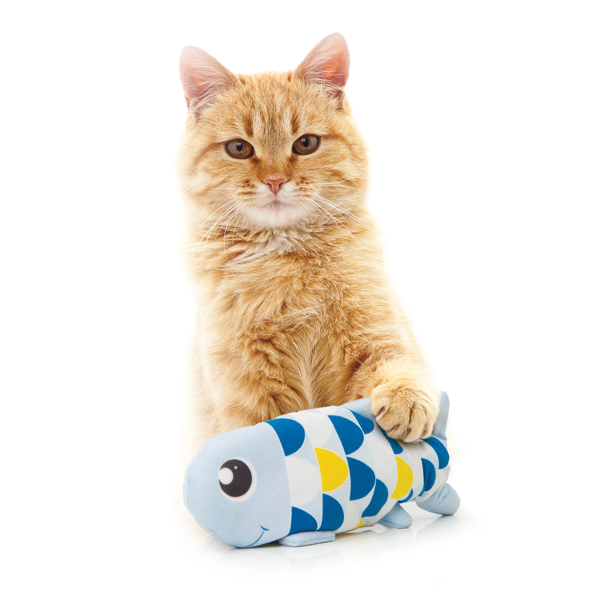 Jouet Catit Groovy, poisson, bleu