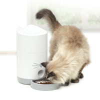 Distributeur intelligent pour chat