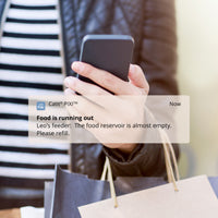 Distributeur intelligent pour chat