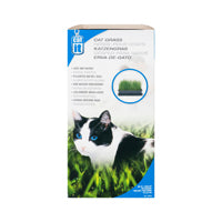 Herbe Catit pour chats, 85 g (3 oz)