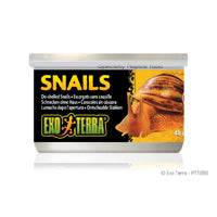 Aliments en conserve Exo Terra, Escargots (sans coquille), 48 g (1,7 oz)