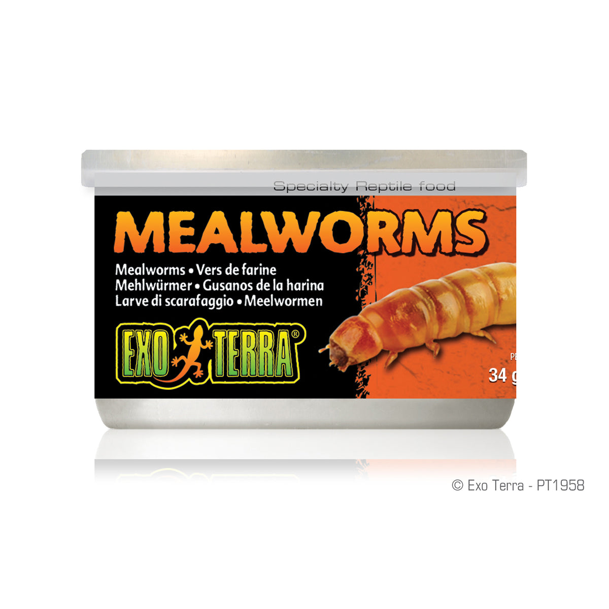 Aliment en conserve Exo Terra, vers de farine, 34 g (1,2 oz)