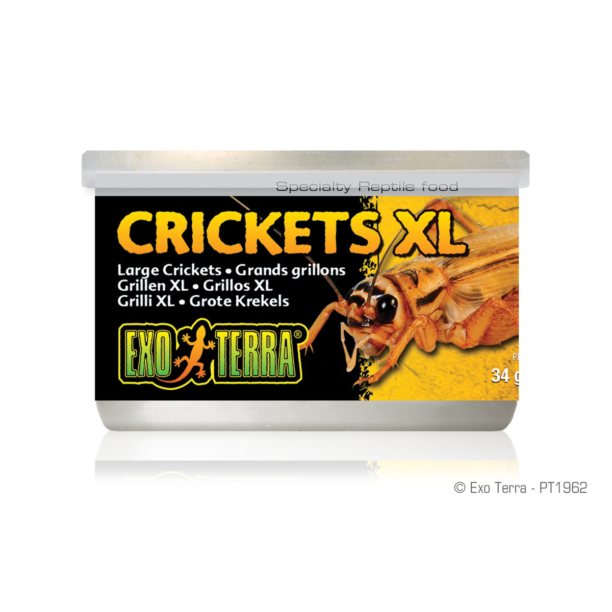 Aliment en conserve Exo Terra, grillons, très grands, 34 g (1,2 oz)