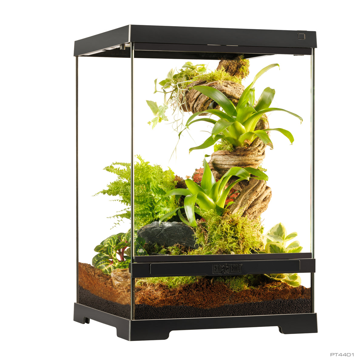 Terrarium professionnel Exo Terra, habitat avancé naturel, très petit/haut, 30 x 30 x 45 cm