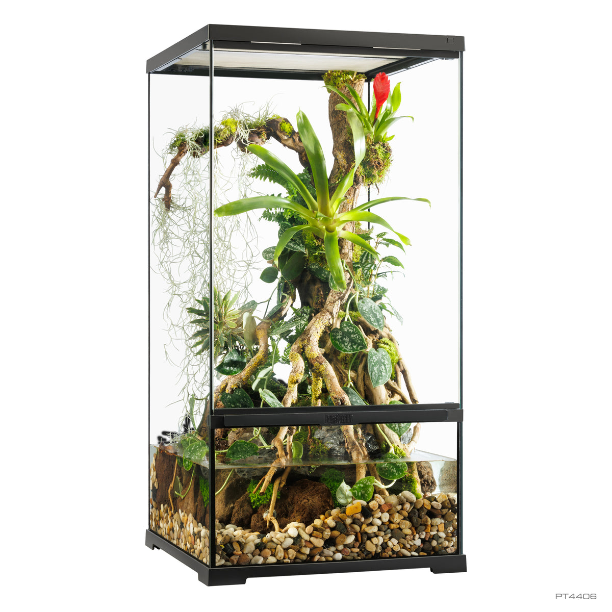 Paludarium professionnel Exo Terra, habitat avancé naturel, petit/très haut, 45 x 45 x 90 cm