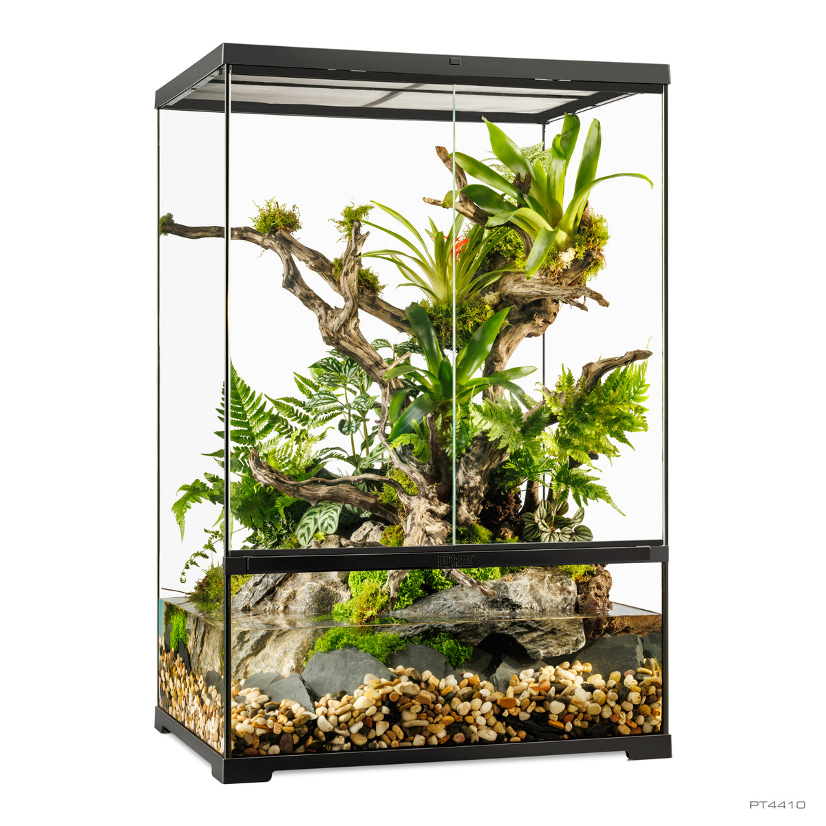 Paludarium professionnel Exo Terra, habitat avancé naturel, moyen/très haut, 60 x 45 x 90 cm