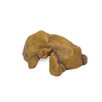 Grotte Exo Terra pour reptiles, grande