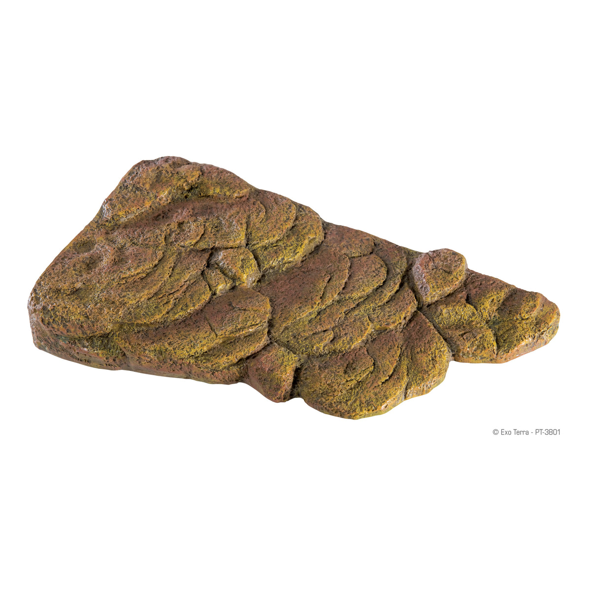 Talus magnétique flottant Exo Terra pour tortues, moyen, 29,8 x 17,8 x 5,4 cm (11,73 x 7,01 x 2,13 po)