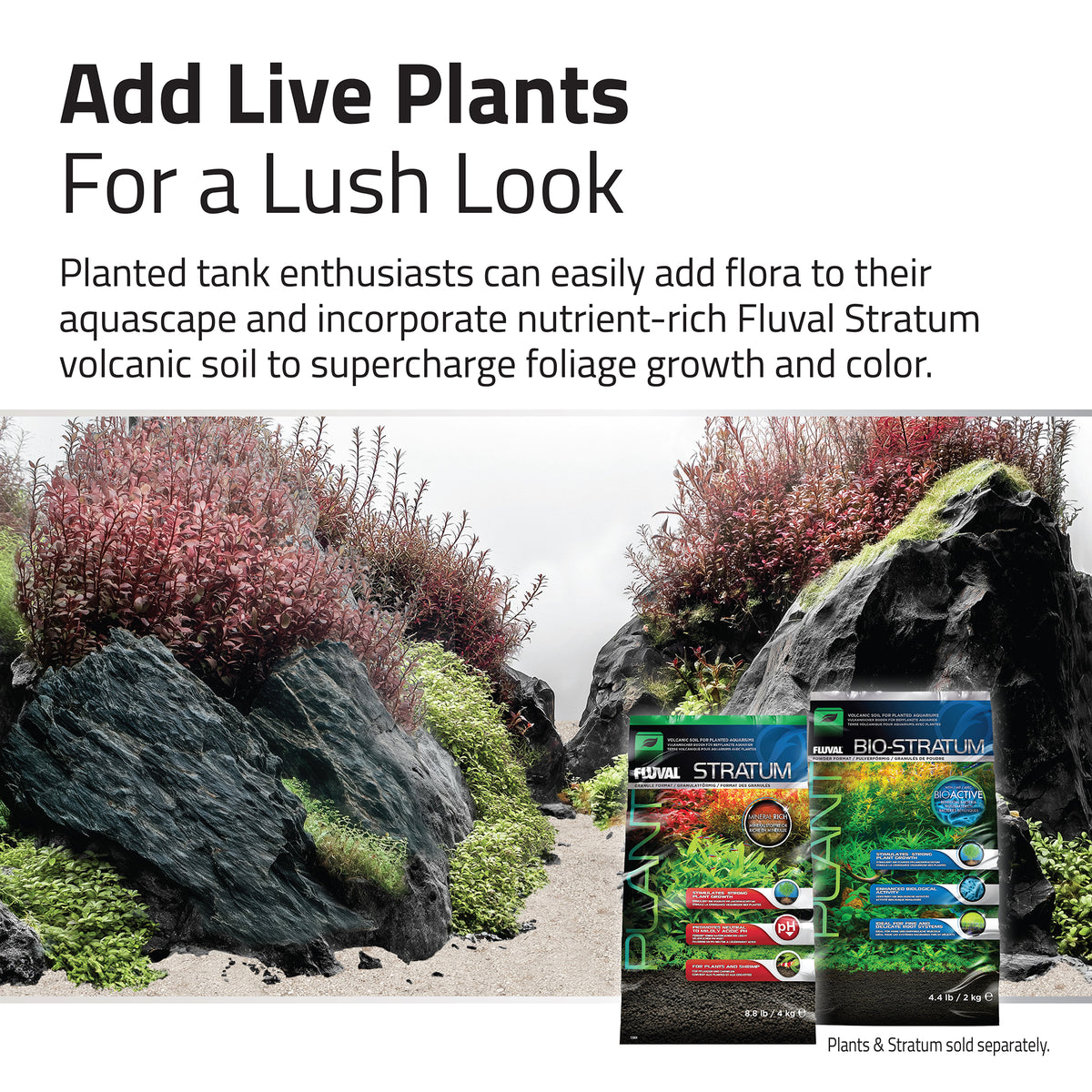Trousse décorative Aquascaper Fluval de pierres et de sables, Black Basalt, Nano, 11 kg (24 lb)