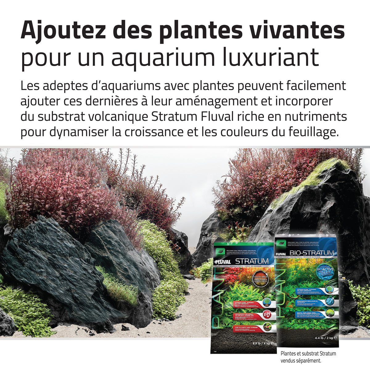 Trousse décorative Aquascaper Fluval de pierres et de sables, Black Basalt, Méga, 21 kg (46 lb)