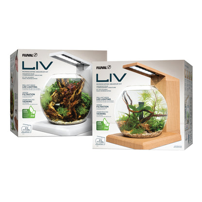 Aquarium équipé LIV Fluval pour l’aménagement miniature, blanc
