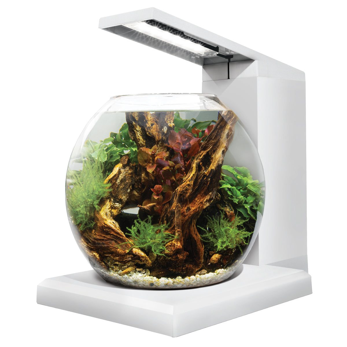 Aquarium équipé LIV Fluval pour l’aménagement miniature, blanc