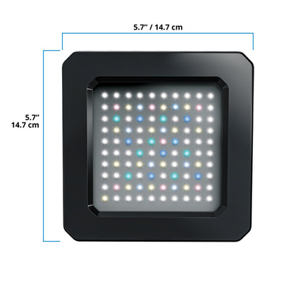 Lampe à DEL Plant 4.0 Nano Fluval, 20 W, 14,7 x 14,7 cm (5,7 x 5,7 po)
