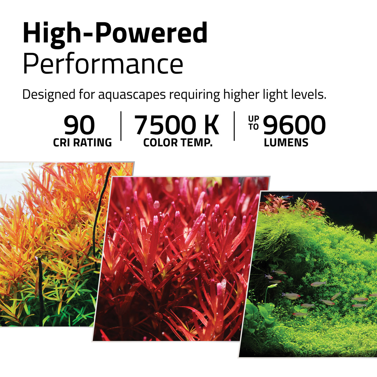 Rampe d’éclairage à DEL Plant Pro 90 Fluval,  60 W, 5988 cm (23,2534 po)