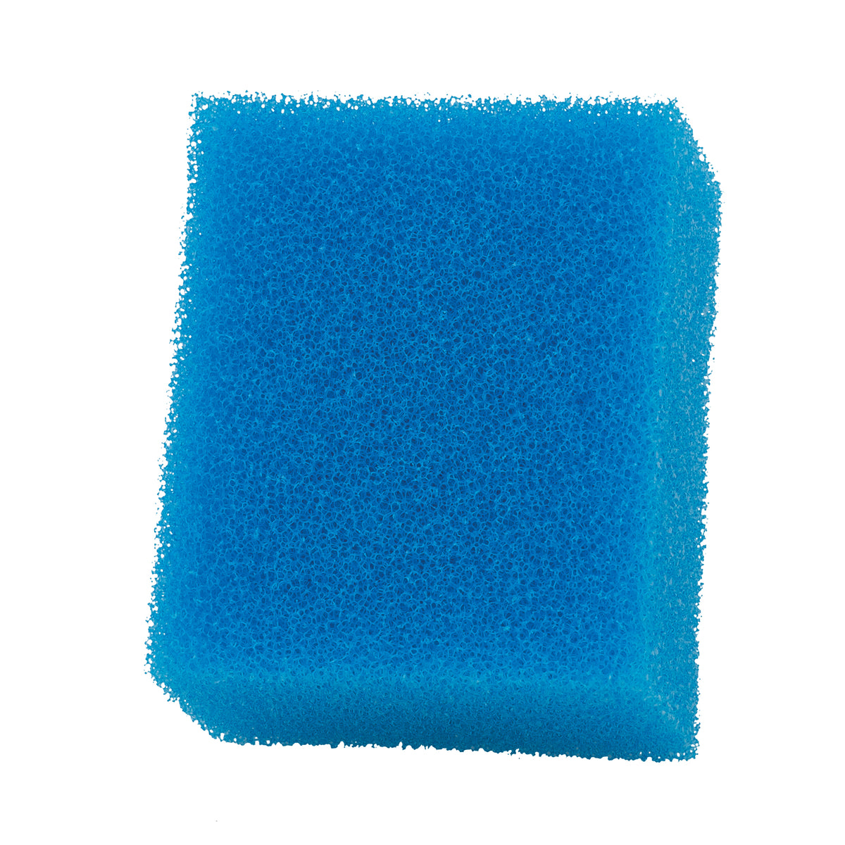 Bloc de mousse BioFoam pour filtre à moteur AC20 Fluval