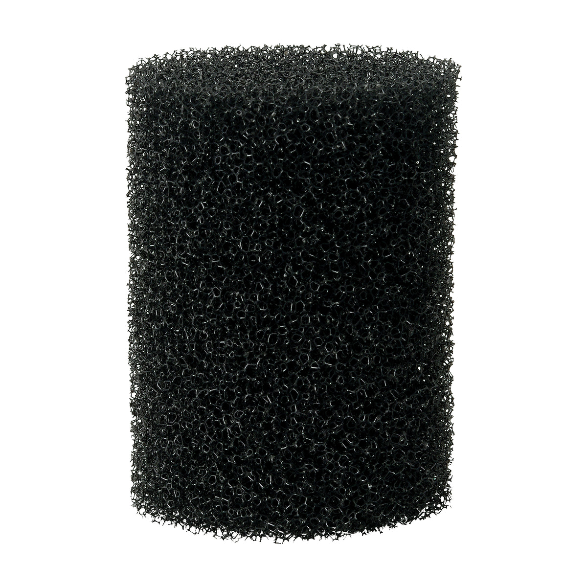 Éponge pour crépine d’admission AC70/110 Fluval