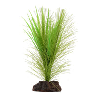 Myriophylle brésilien vert et vallisnérie Plant Scapes Aqualife Fluval