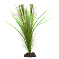 Myriophylle brésilien vert et vallisnérie Plant Scapes Aqualife Fluval