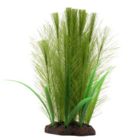 Myriophylle brésilien vert et vallisnérie Plant Scapes Aqualife Fluval