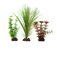 Collection de 3 plantes Plant Scapes Aqualife Fluval