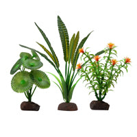 Collection de 3 plantes Élodée Plant Scapes Aqualife Fluval