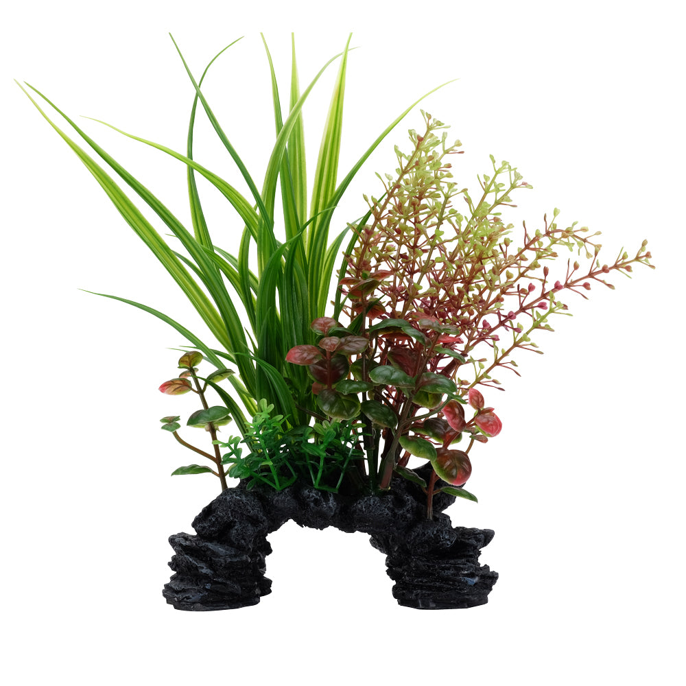 Plante Aqualife Fluval avec base décorative, sagittaire et rotala, 20 cm (8 po)
